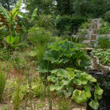 Cultivons notre paradis